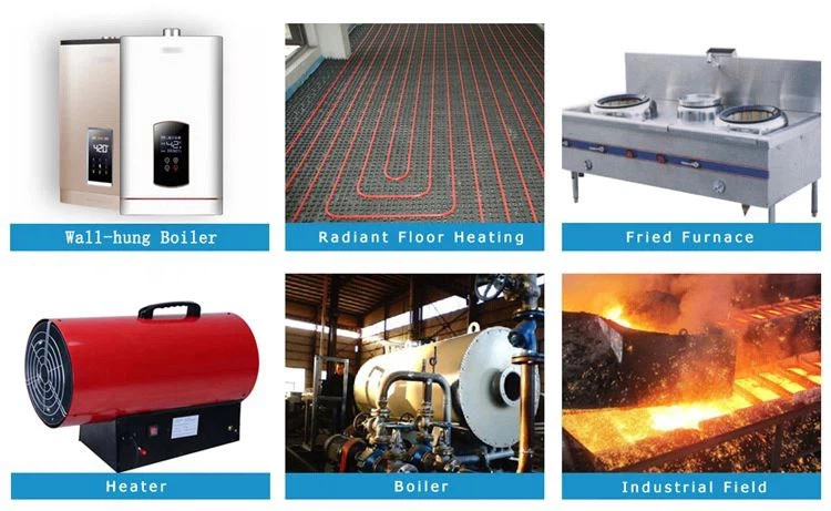 Electric ignition for diesel burners Electric ignition for diesel burners